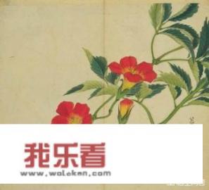 与中药有关的诗词？