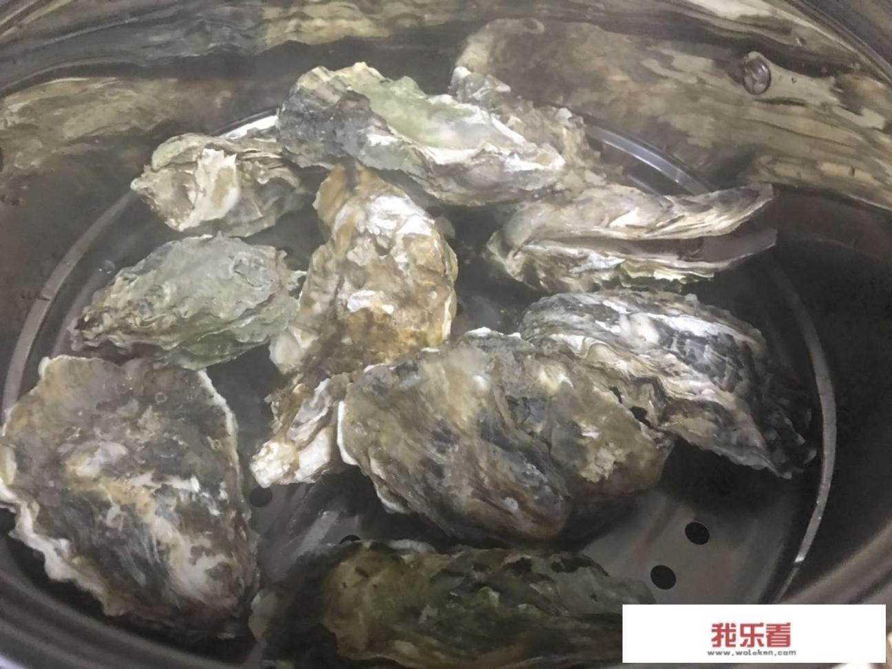 买回来的生蚝需要焯水吗？