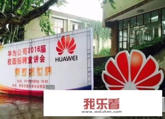 华为的经验有什么成功和局限之处？