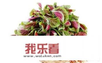 青苋菜种植时间及技术要点？