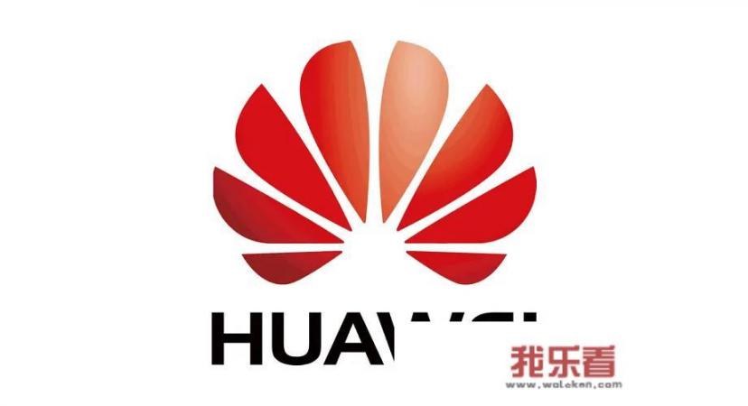 华为在国内市场面临的市场机遇与挑战？