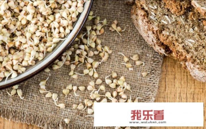 甜荞麦苗芽菜种植方法？