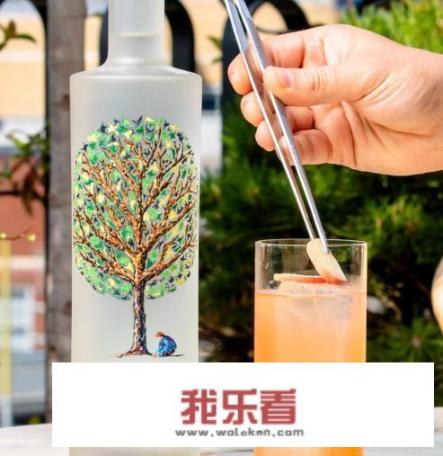 伏特加兑红酒还是雪碧可乐？