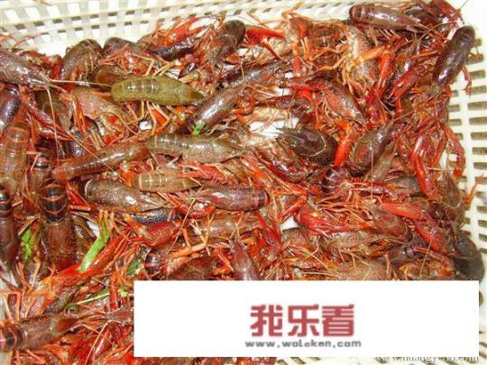 小龙虾怎么处理干净？