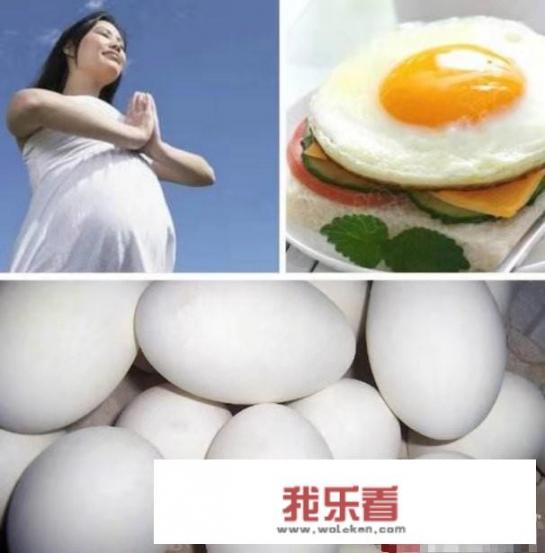 怀孕几个月可以吃鹅蛋？