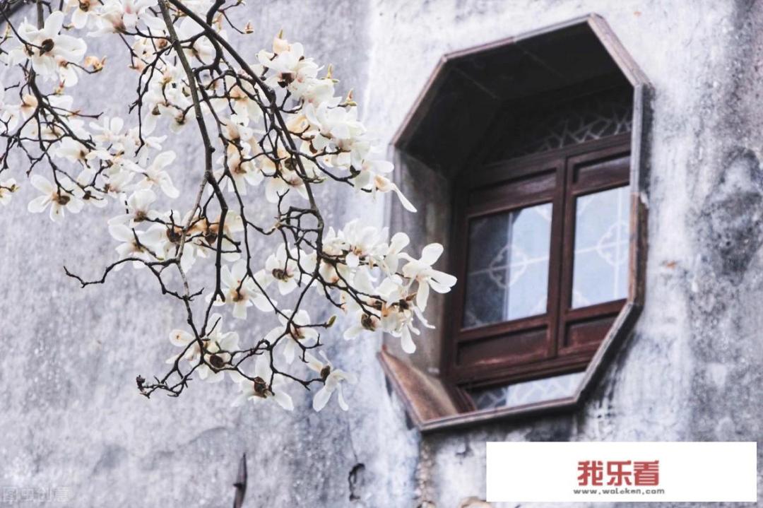 周庄古镇门票多少钱？