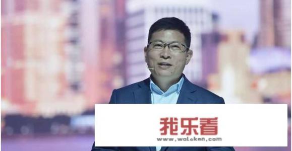 汪中求在华为任过职吗？