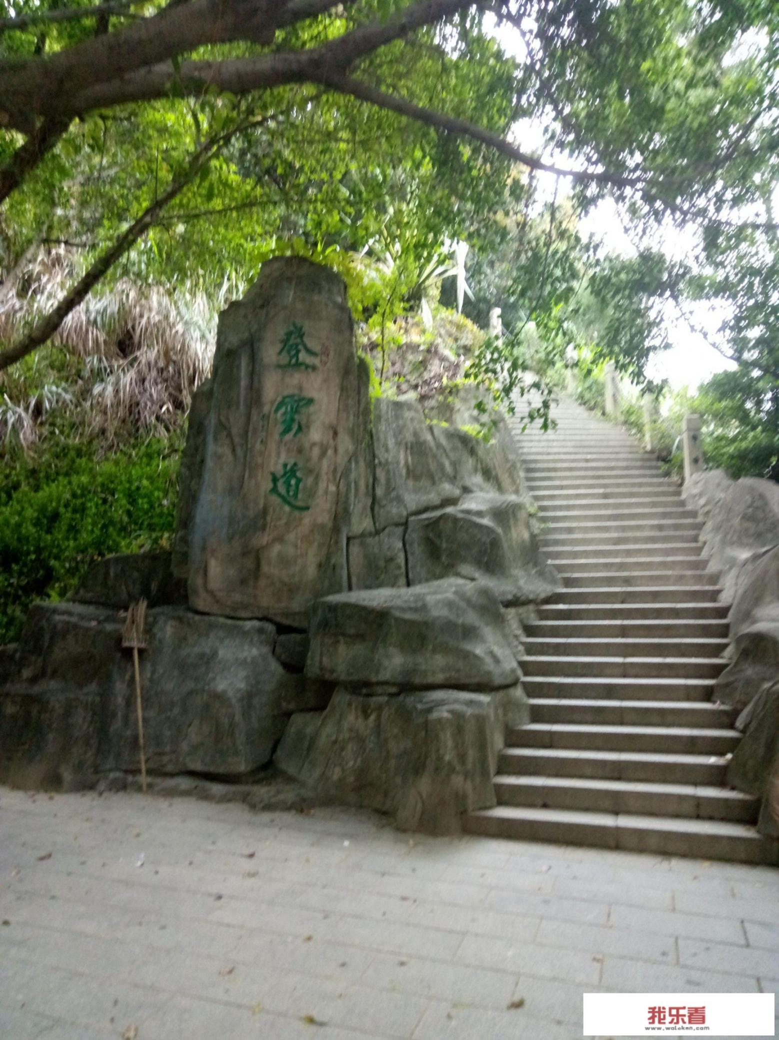 梧桐山海拔多少？