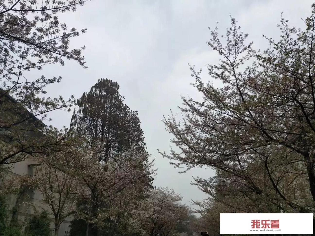 鸡鸣寺古诗？