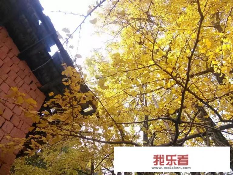 韶关天气冬天温度？