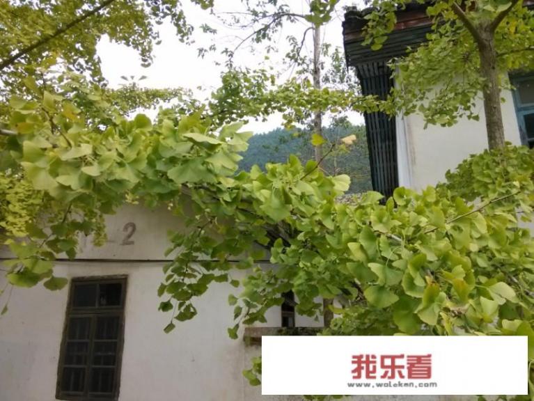 韶关天气冬天温度？