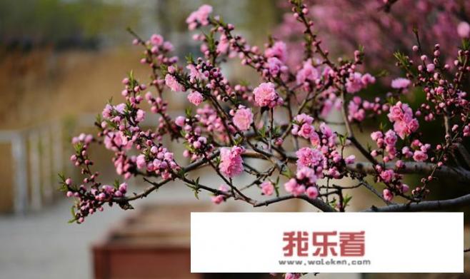 最近邢台天气是不是有一种一秒入夏的感觉？