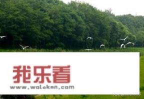 上海海湾国家森林公园免票吗？