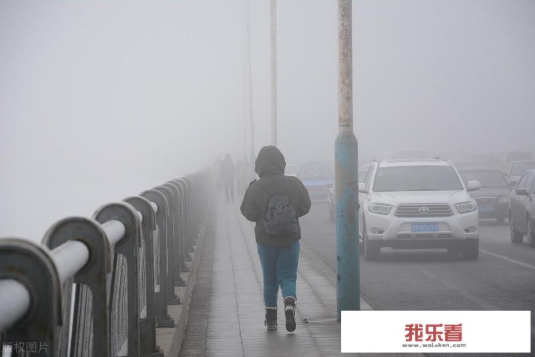 盘州天气合适种植什么蔬菜？