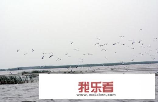 《南京！南京！》拍摄地为何选择在长春？