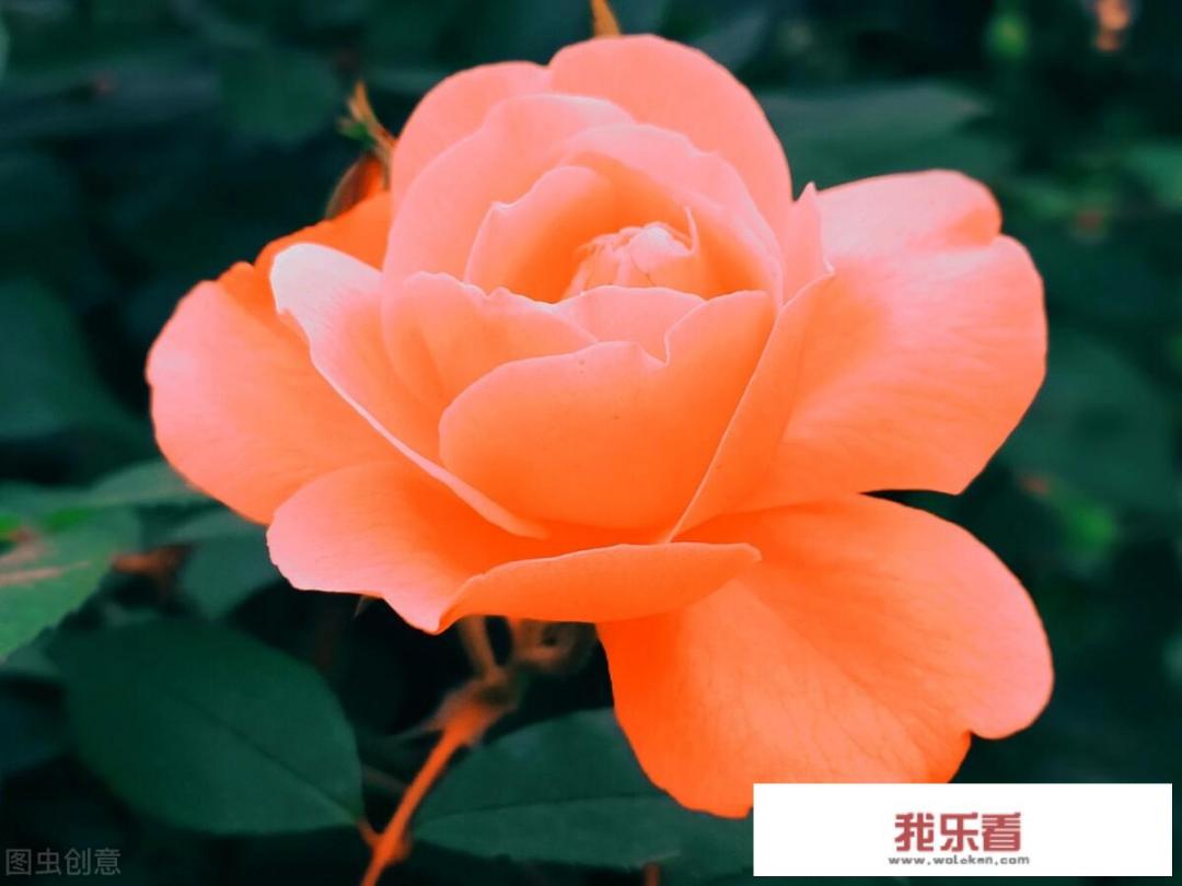 怎样的风景画填形容词？