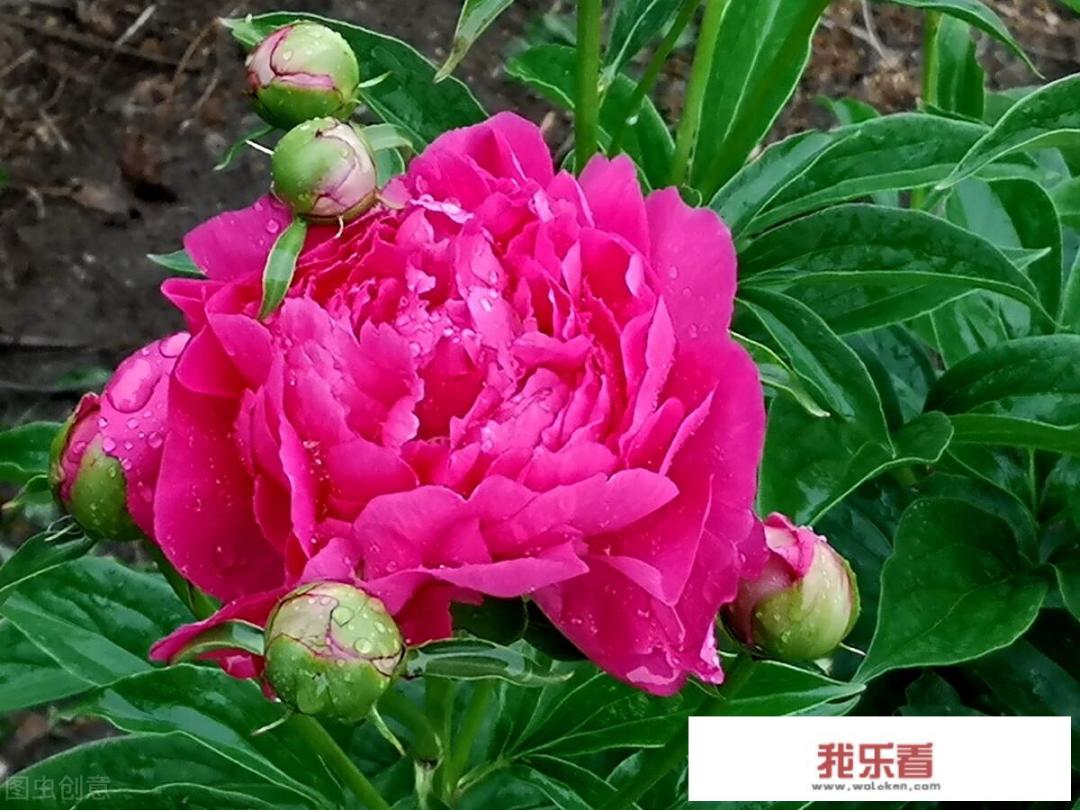怎样的风景画填形容词？
