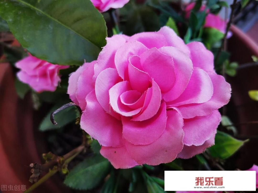 怎样的风景画填形容词？