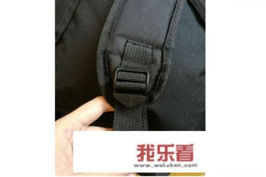40厘米的草莓熊能放进书包吗？
