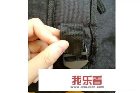 40厘米的草莓熊能放进书包吗？