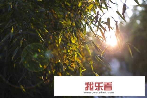 求子去北京红螺寺怎么求？