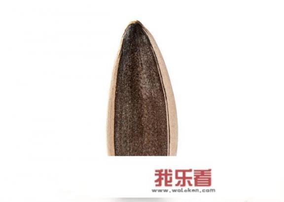 马牙瓜子种植方法？