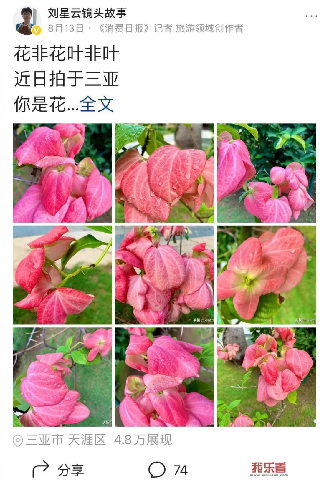 三亚双岛学校学费多少？