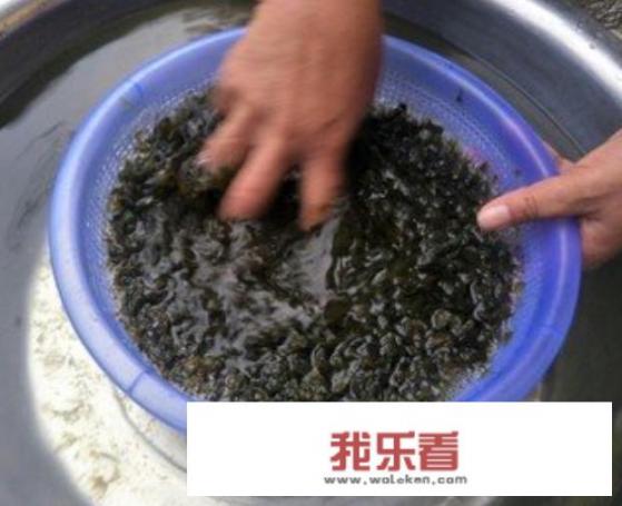 地皮菜怎么洗干净？