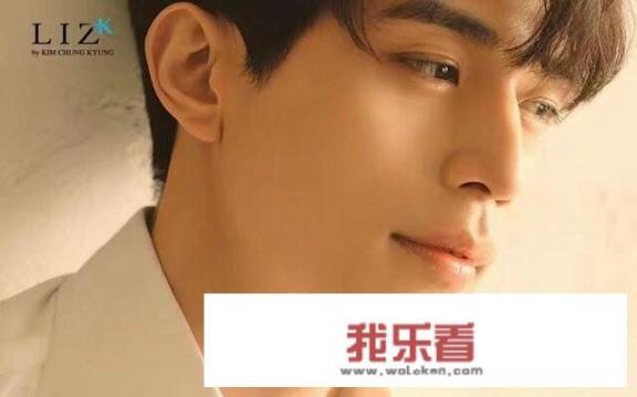 李敏镐都演过什么电视剧？