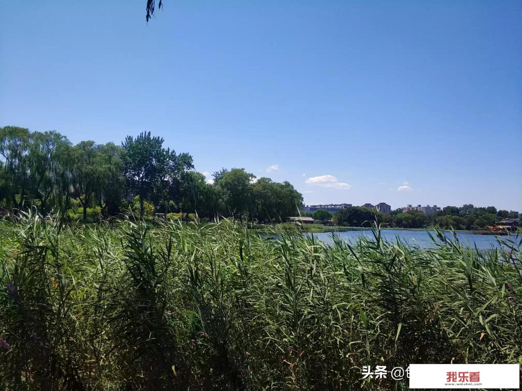 夏日之景，如何描绘？