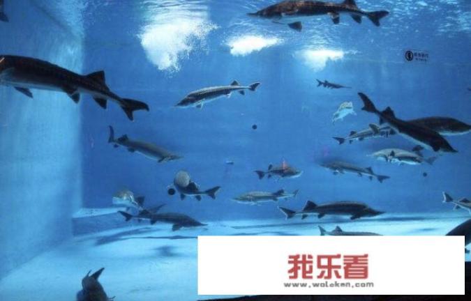 济南有几个海底世界？