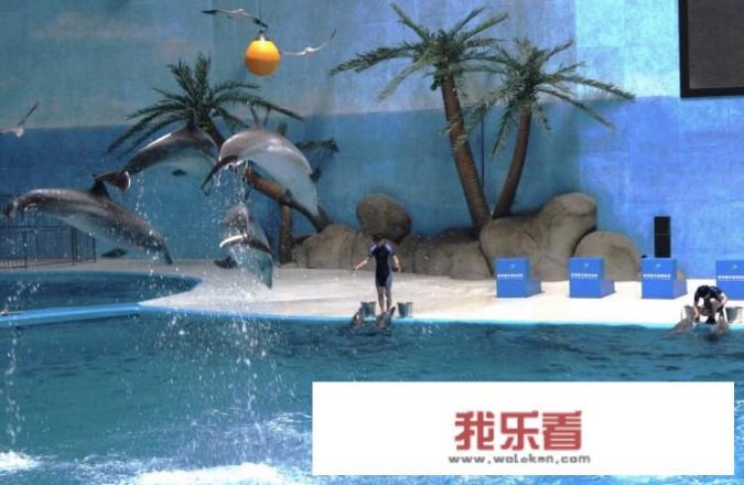 济南有几个海底世界？