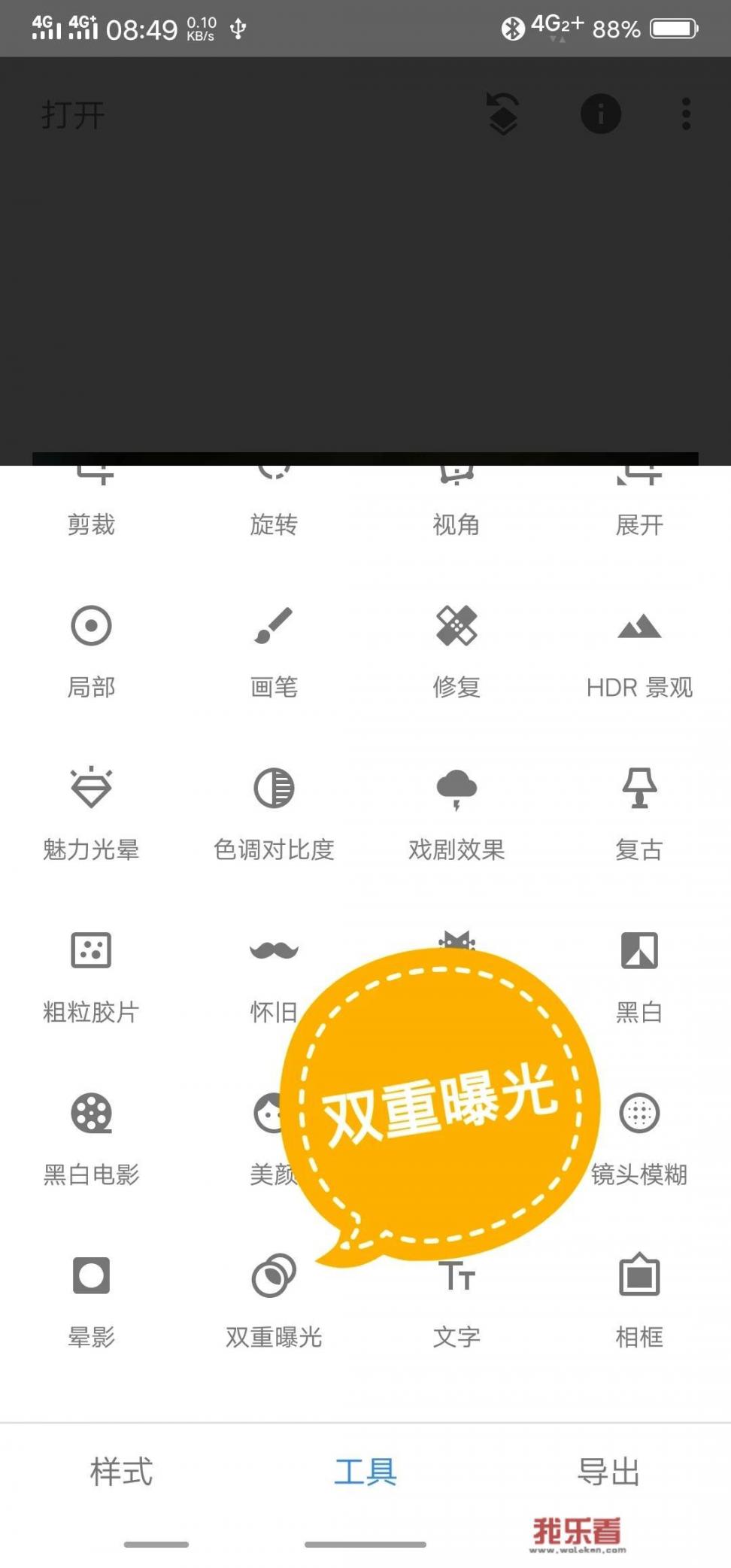 开纯白色的兰花品种是什么品种？