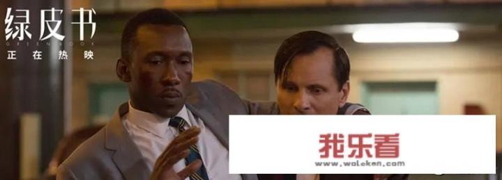 绿皮书什么意思？