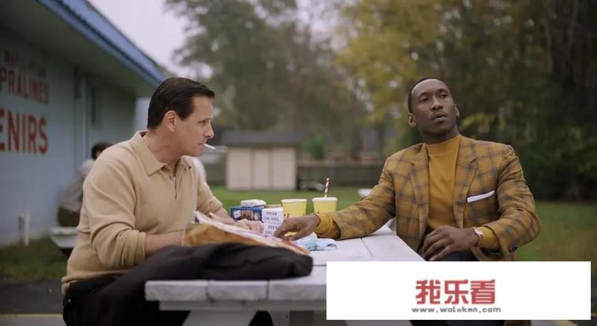 绿皮书什么意思？