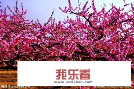 世界最性感的十大女神级演员有哪些？