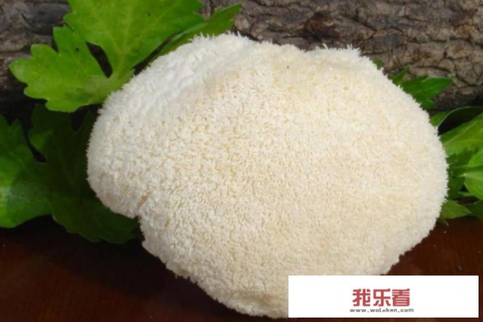 猴头菇的产地与挑选指南