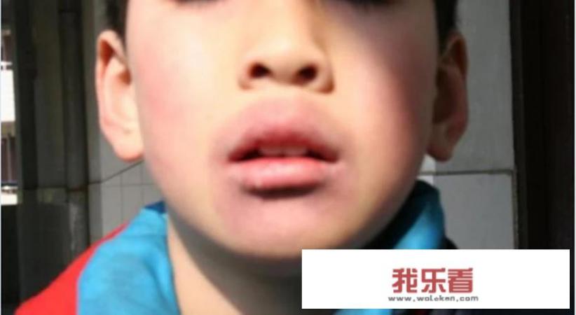 求专业人士鉴定图片中的羊是什么羊，看那个羊尾巴怎么那么大呢? 最后具体一些，谢谢了？