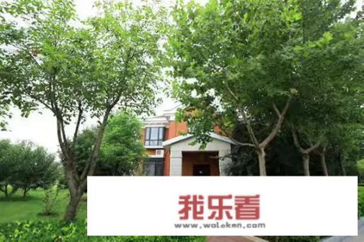 焦裕禄精神的内核与意义