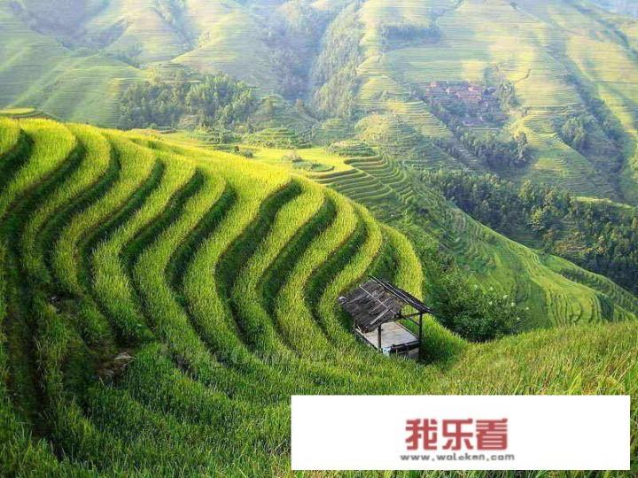 云和梯田住宿攻略？