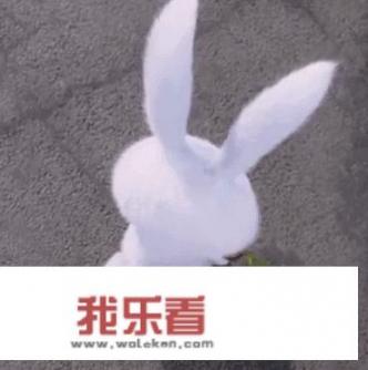 对于大年初一朋友圈发的一个女孩祈祷的图片，你怎么看？