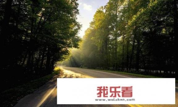 公路为什么可以叫马路？