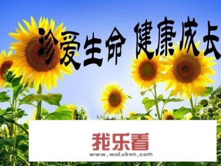 求关于安全教育手抄报的文字内容？