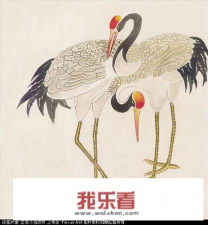 仙鹤代表着什么寓意？