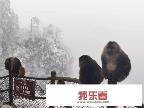 峨眉山值得去吗？