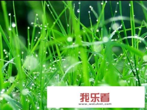 人活着有什么意思？