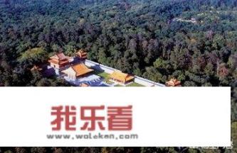 东陵是哪里的牌子？
