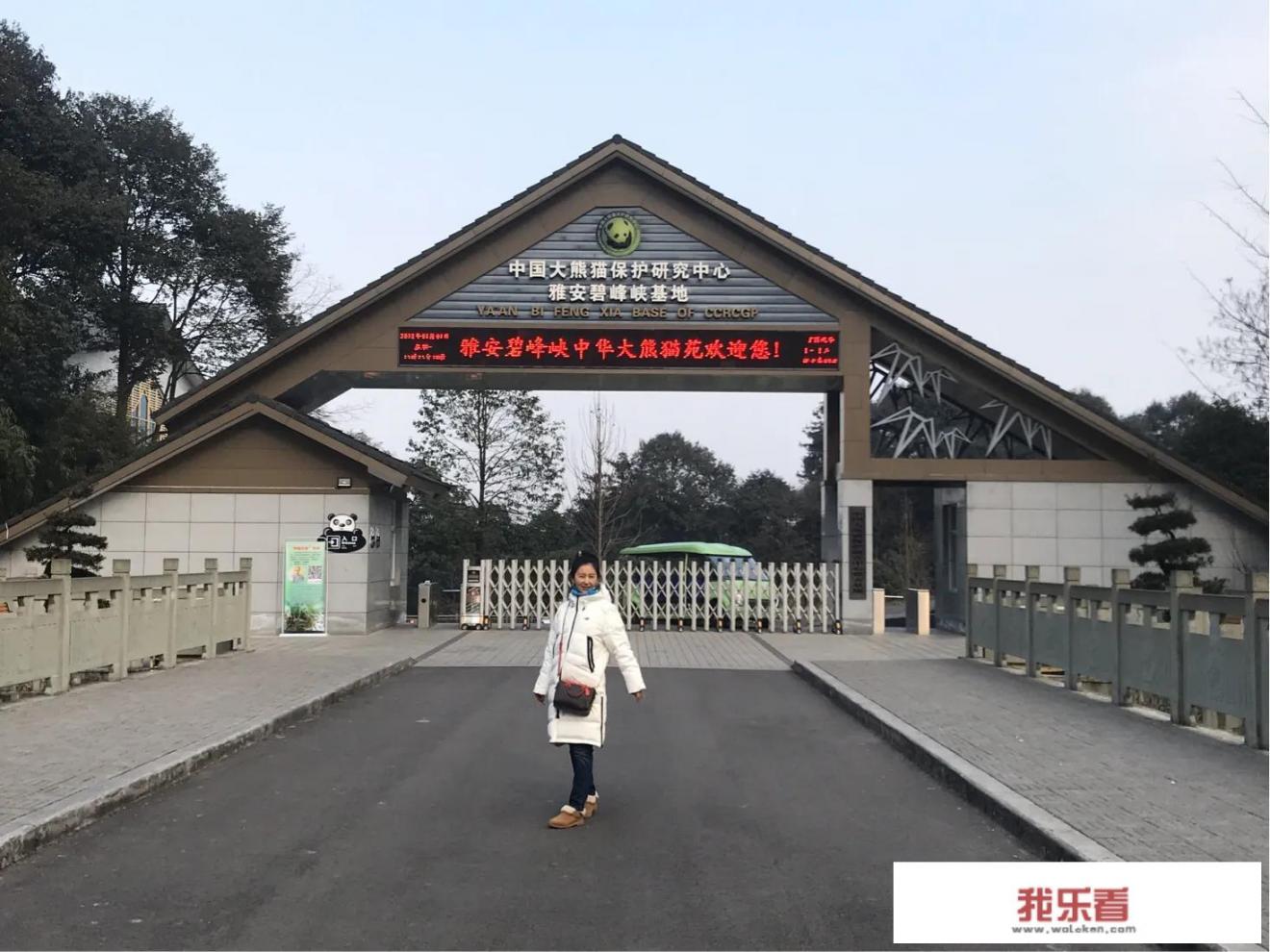 成都大熊猫基地最佳攻略？