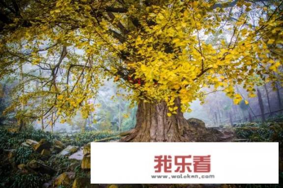 丹景山别名又叫什么？