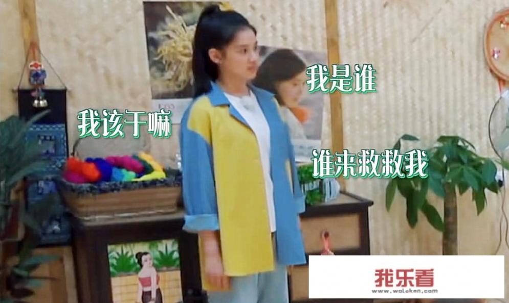 《向往的生活》张子枫与张婧仪的友谊你觉得美好纯粹吗？为什么？
